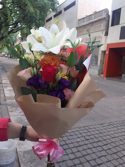 Flores Paula de René Rocha