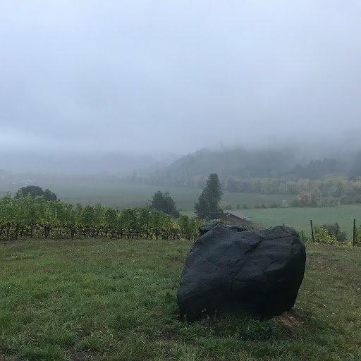 Vineyard «Coeur De Terre», reviews and photos, 21000 SW Eagle Point Rd, McMinnville, OR 97128, USA
