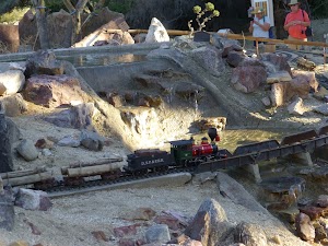 The Living Desert - photo 39