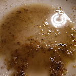 Photo n°3 de l'avis de Dario.o fait le 09/06/2023 à 18:02 sur le  Sbecolez Trieste à Trieste