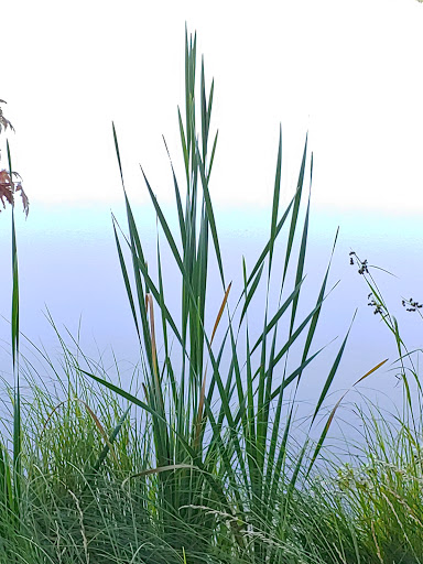 Tourist Attraction «Heflin Park», reviews and photos, 4323 W 700 N, Edinburgh, IN 46124, USA