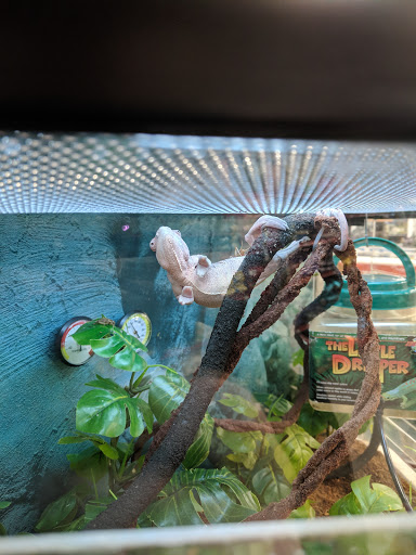 Pet Supply Store «Petco Animal Supplies», reviews and photos, 2752 Veterans Rd W, Staten Island, NY 10309, USA