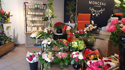 Monceau Fleurs à Meudon