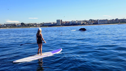 Water Sports Equipment Rental Service «Paddle Method - Stand Up Paddleboard Lessons & Rentals», reviews and photos, 14110 Palawan Way, Marina Del Rey, CA 90292, USA