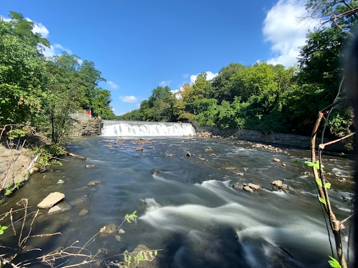 Park «River Park», reviews and photos, Boston Rd, Bronx, NY 10460, USA