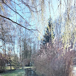 Photo n°2 de l'avis de Peter.o fait le 24/03/2024 à 18:53 sur le  Hotel & Restaurant Seeschloss in Lanke bei Bernau / Barnim à Wandlitz