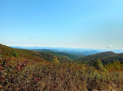 Art Loeb Trailhead (south)