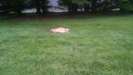 Cemetery «Crown Hill Funeral Home and Cemetery», reviews and photos, 700 38th St, Indianapolis, IN 46208, USA