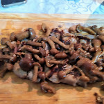 Photo n°1 de l'avis de Antonio.r fait le 31/10/2021 à 19:13 sur le  Restaurant Da Alfonso à Sanremo