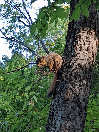 Park «Parr Park Sprayground», reviews and photos, 3010 Parr Ln, Grapevine, TX 76051, USA