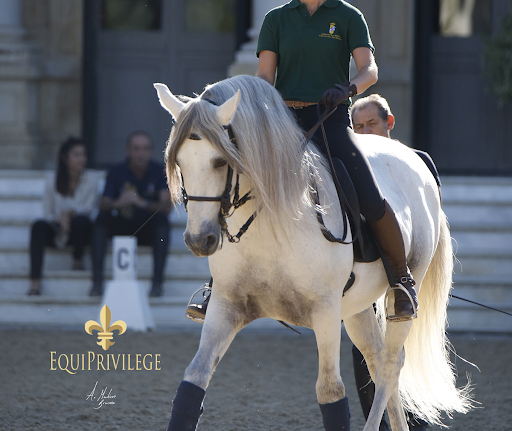 EQUIPRIVILEGE, Agencia de tour en Castelló d'Empúries,Girona