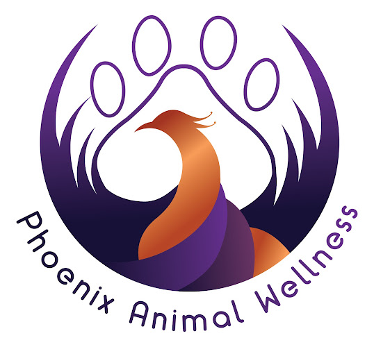 Phoenix Animal Wellness - Veterinarian