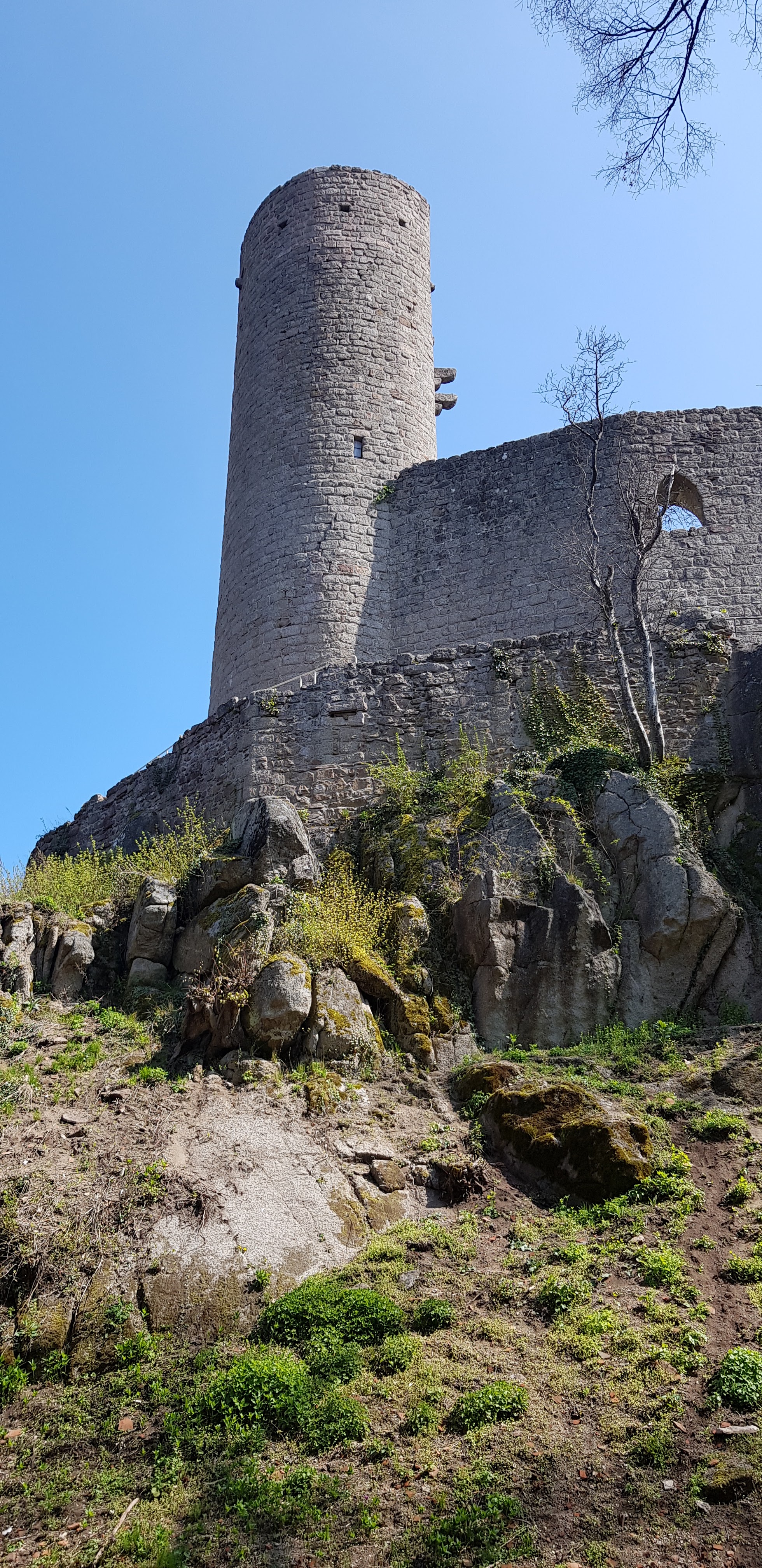 Photo n° 3 de l'avis de gérard.p fait le 15/04/2019 à 16:41