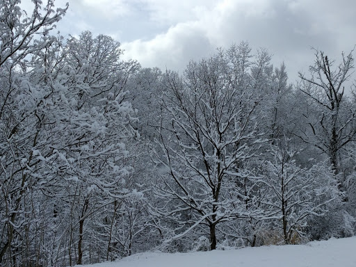 Nature Preserve «Beechwood Farms Nature Reserve», reviews and photos, 614 Dorseyville Rd, Pittsburgh, PA 15238, USA