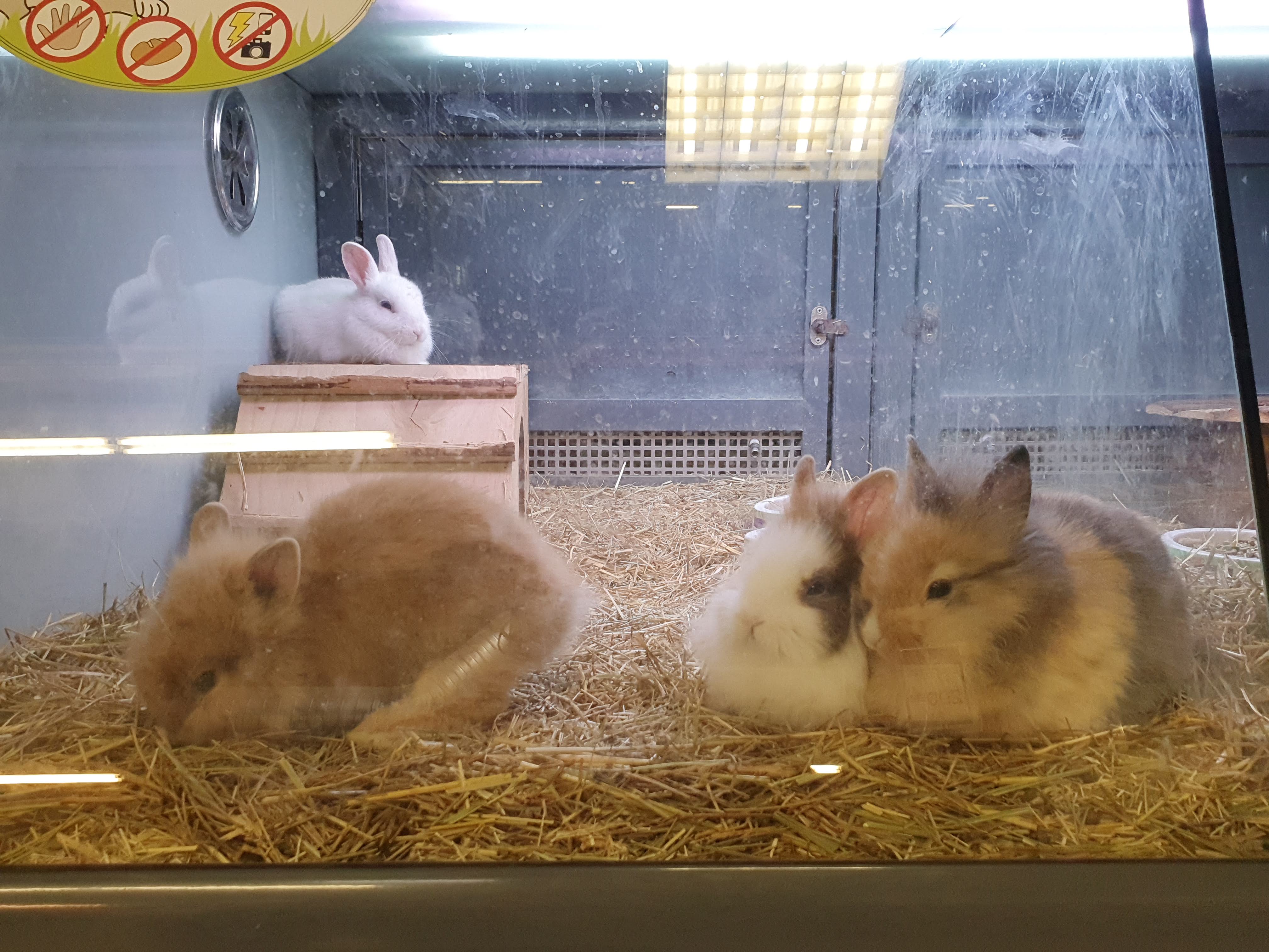Photo n° 17 de l'avis de olivier.e fait le 20/01/2020 à 11:28