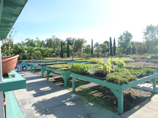 Terra Bella Nursery, Inc. image