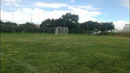 Liga de Futbol Alborada