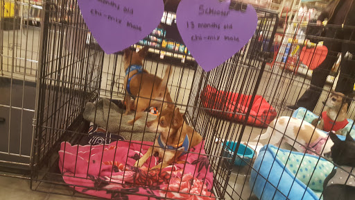 Pet Supply Store «PetSmart», reviews and photos, 24965 Pico Canyon Rd, Stevenson Ranch, CA 91381, USA