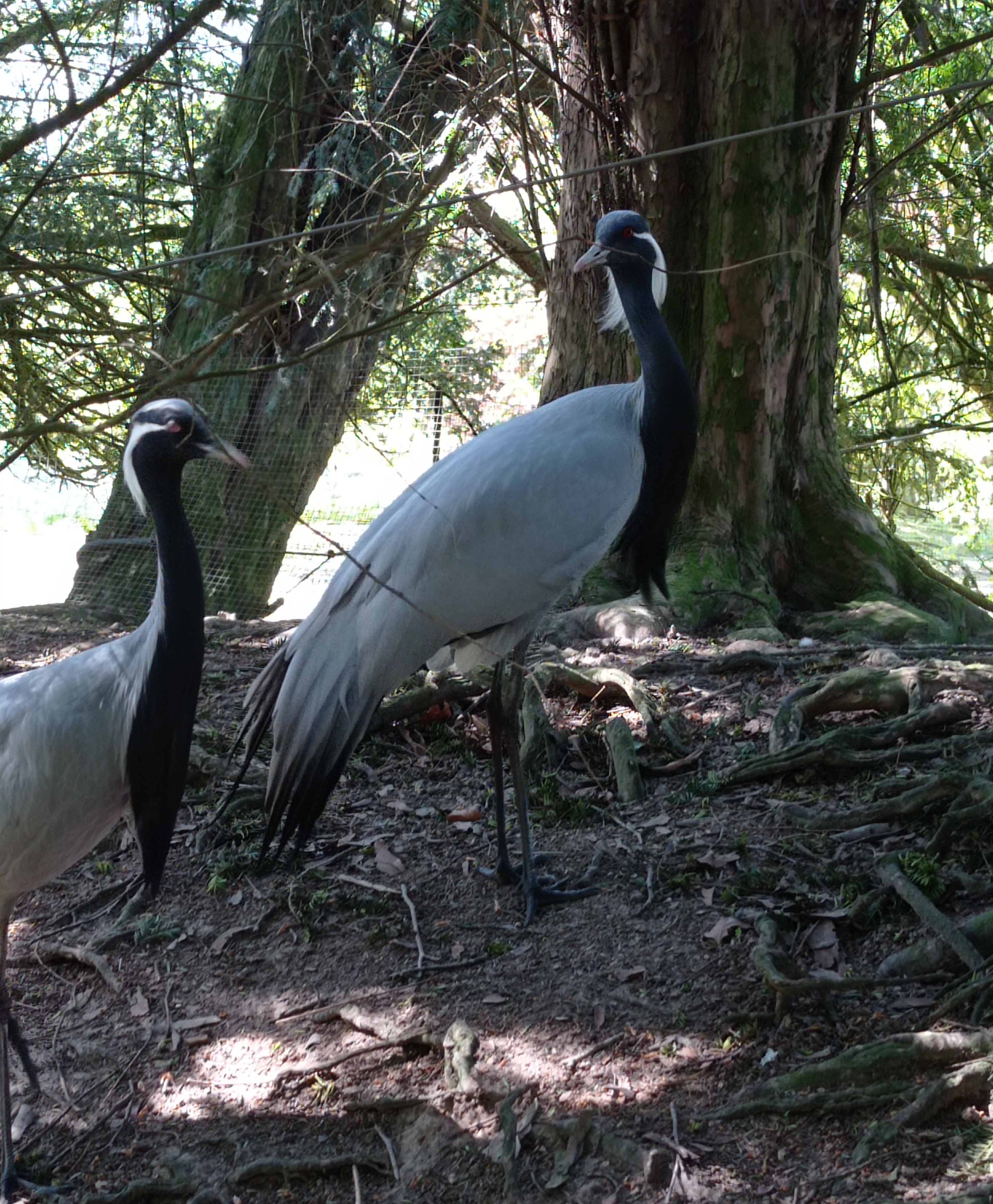 Photo n° 7 de l'avis de Louise.i fait le 04/05/2023 à 17:23