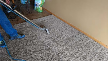 Long & Son Carpet Cleaning Inc., Minnesota Carpet Cleaners