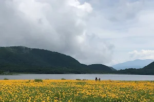 Oguninuma Marshland image