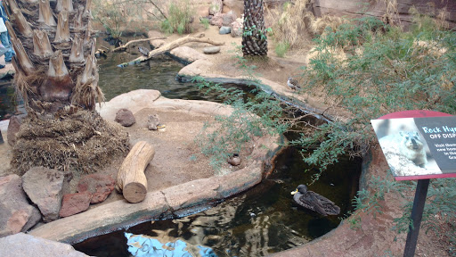 Zoo «Desert Dome & Kingdoms of the Night», reviews and photos, 3701 S 10th St, Omaha, NE 68108, USA