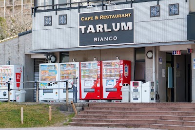 タールムビアンコ お台場