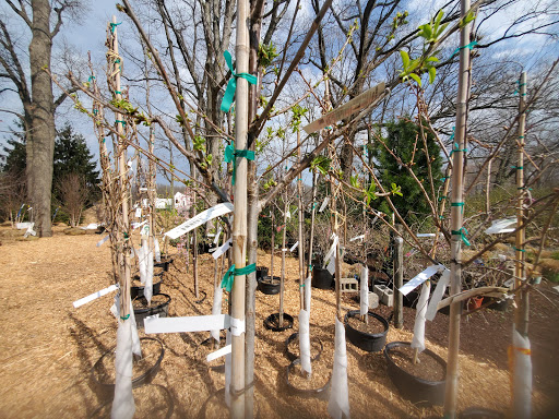 Garden Center «Beachside Gardens & Gifts», reviews and photos, 3725 US-12, Michigan City, IN 46360, USA