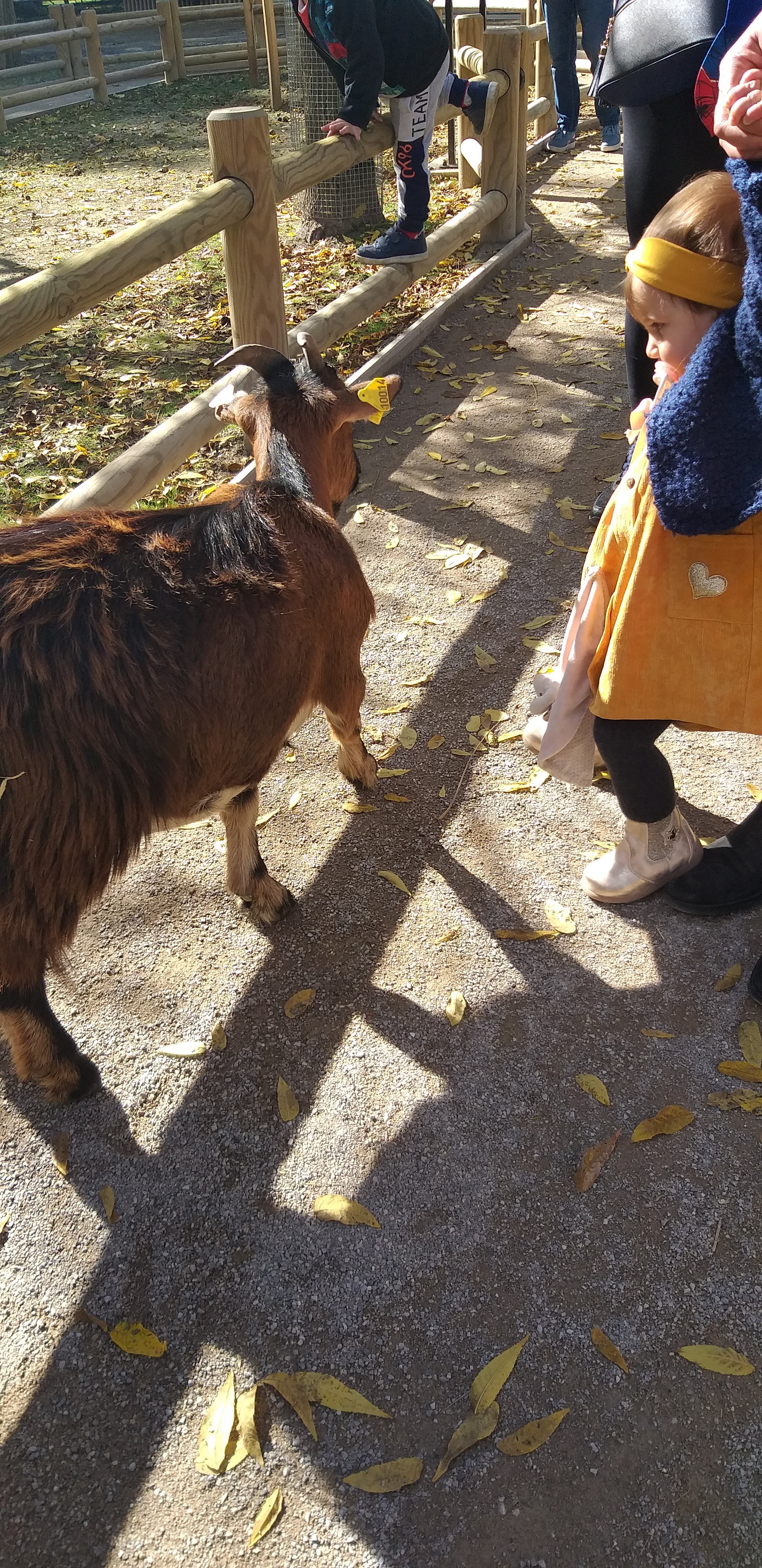 Photo n° 1 de l'avis de Nicolas.O fait le 08/10/2022 à 19:52