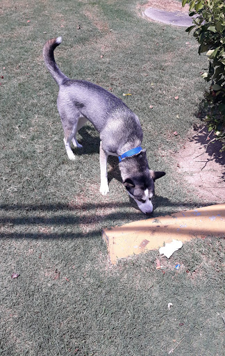 Boxing Gym «Katy Boxing Club», reviews and photos, 18703 W Little York Rd suite 102, Katy, TX 77449, USA