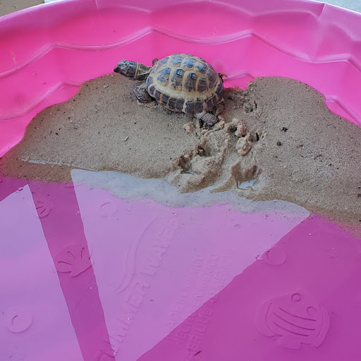 Pet Supply Store «PetSmart», reviews and photos, 1013 W University Ave, Georgetown, TX 78628, USA