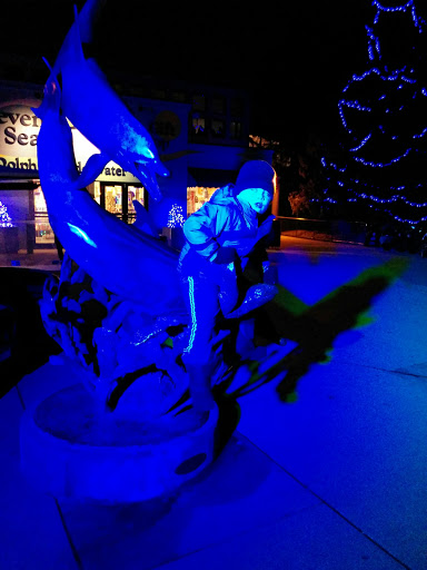 Zoo «Fragile Desert», reviews and photos, 3300 Golf Rd, Brookfield, IL 60513, USA