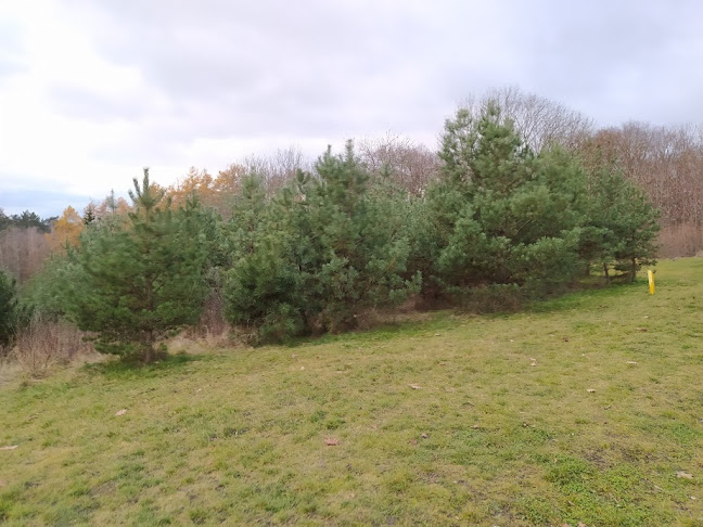 Karlovotýnská 121, 252 16 Nučice