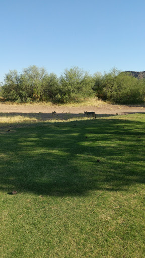 Golf Course «The 500 Club», reviews and photos, 4707 W Pinnacle Peak Rd, Glendale, AZ 85310, USA