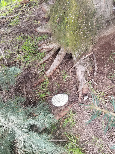 Park «Dublin Park», reviews and photos, 2450 Roundtop Dr, Colorado Springs, CO 80918, USA