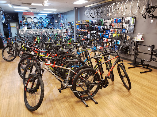 Bicycle Store «RIDE615», reviews and photos, 3441 Lebanon Pike #103, Hermitage, TN 37076, USA