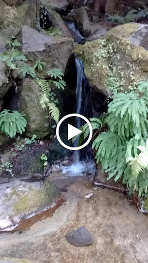 Place of Worship «The Grotto», reviews and photos, 8840 NE Skidmore St, Portland, OR 97220, USA