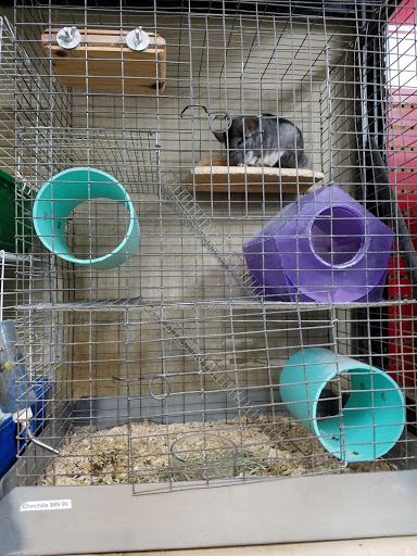 Pet Store «Pet World Ltd», reviews and photos, 14501 Warwick Blvd, Newport News, VA 23608, USA