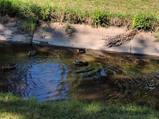 Golf Course «Twin Lakes Golf Course & Recreation Area», reviews and photos, 1200 E Lake Dr, Palatine, IL 60074, USA