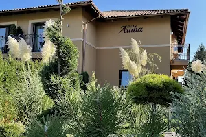 Villa Aruba image