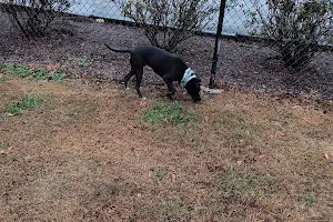 City of LaFayette Dog Park image