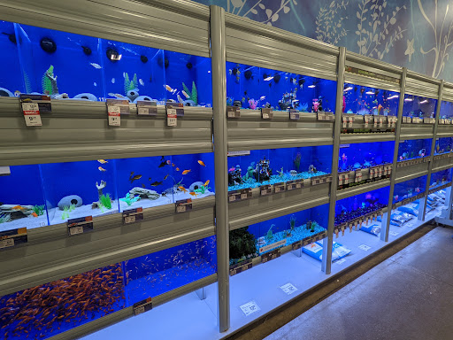 Pet Supply Store «PetSmart», reviews and photos, 1116 S Rochester Rd, Rochester Hills, MI 48307, USA