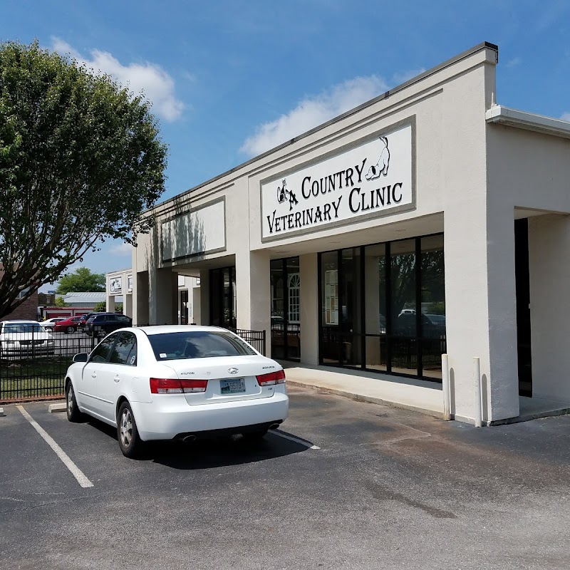 A Country Veterinary Clinic
