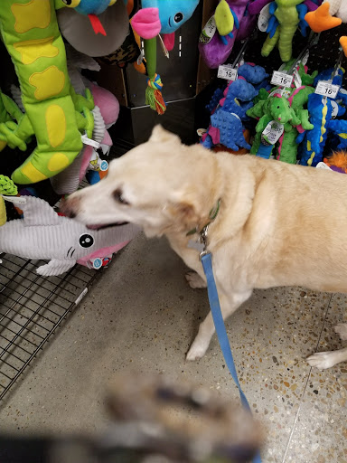 Petco