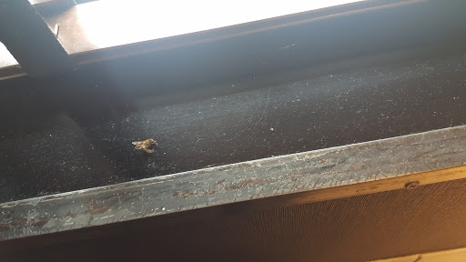 Coffee Shop «Starbucks», reviews and photos, 1401 SW Wilshire Blvd, Burleson, TX 76028, USA