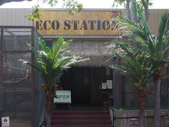 Star Eco Station