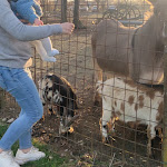 Photo n°25 de l'avis de Daniele.h fait le 07/02/2024 à 12:19 sur le  Agriturismo Cascina Venesia à Mezzanino