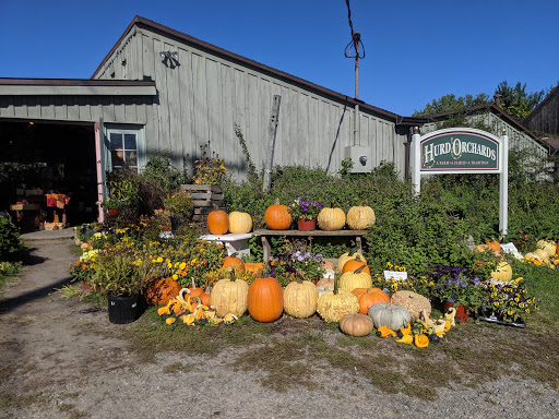 Hurd Orchards, 17260 W Ridge Rd, Holley, NY 14470, USA, 