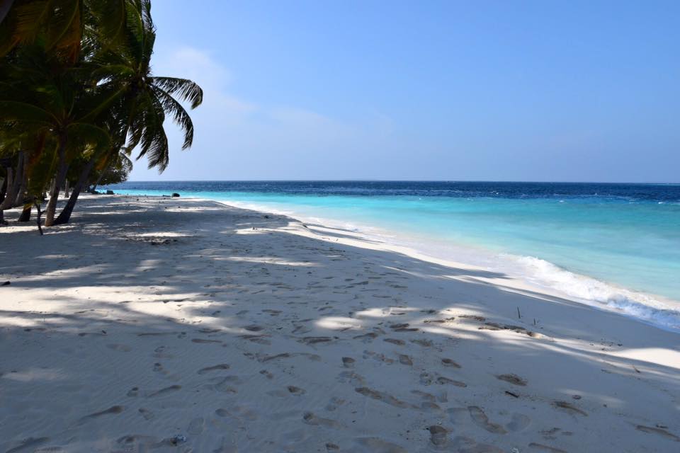Foto av Guest Beach med vit sand yta