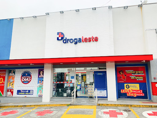 Logo da empresa - Drogaleste